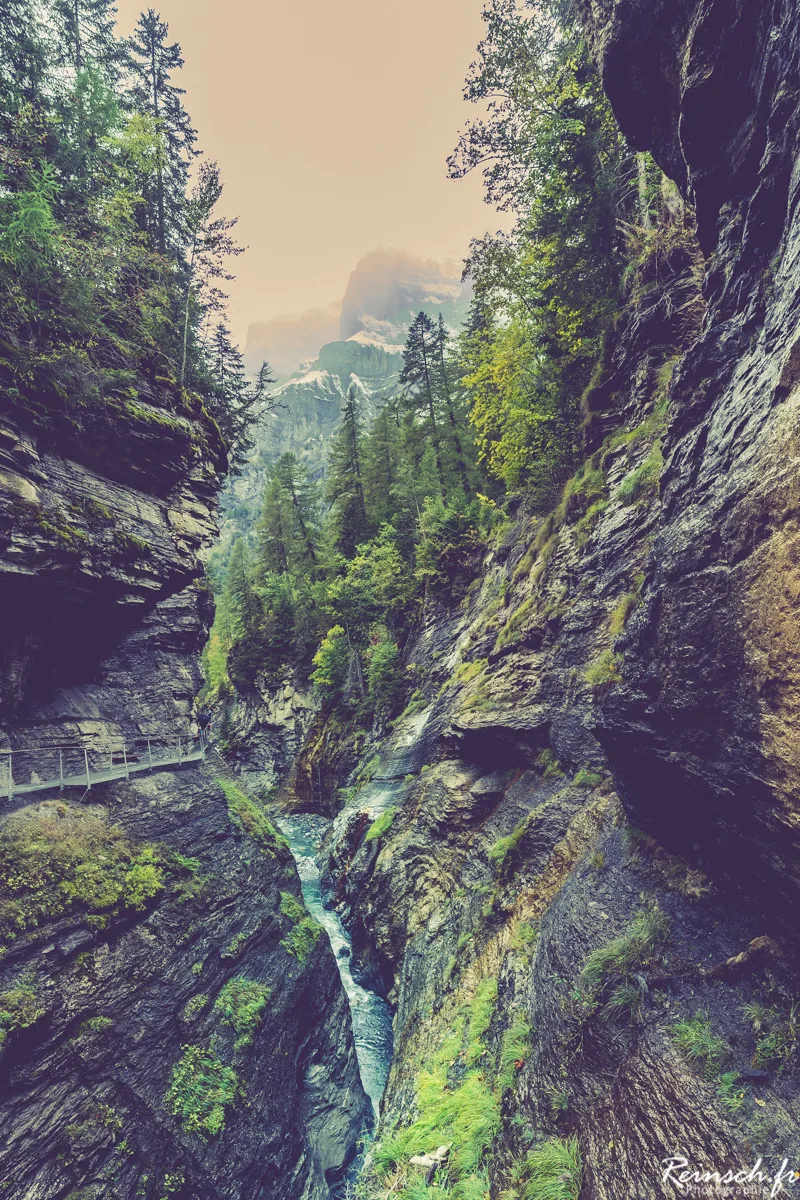 Paysages